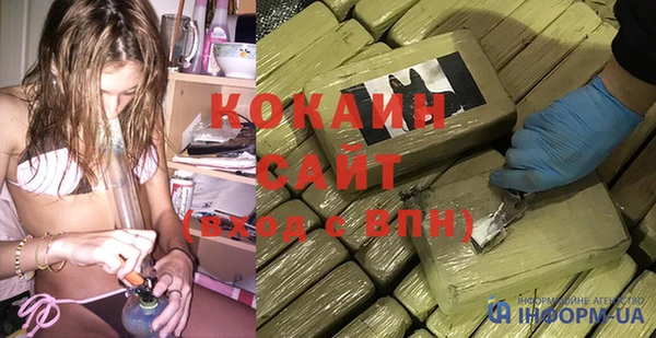 прущие грибы Вязьма