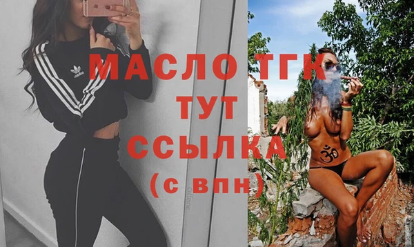винт Пересвет