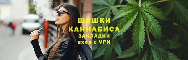 прущие грибы Вязьма