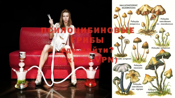 винт Пересвет