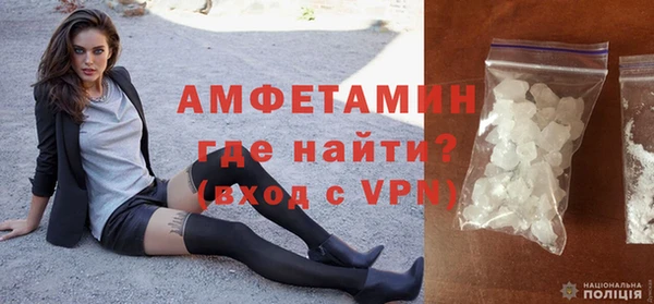 прущие грибы Вязьма