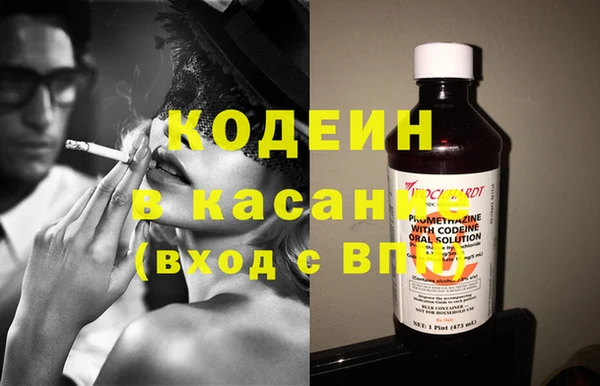 прущие грибы Вязьма