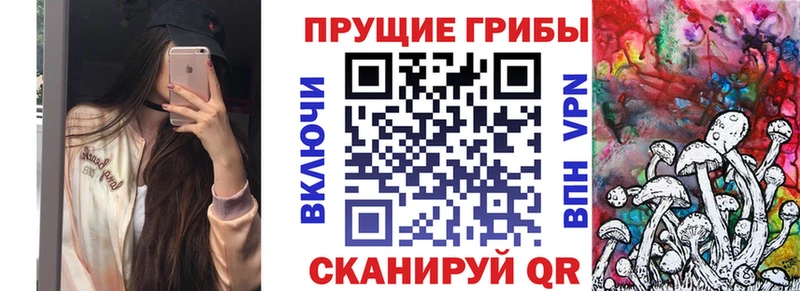 Галлюциногенные грибы Psilocybine cubensis  Купить где  Кирово-Чепецк 